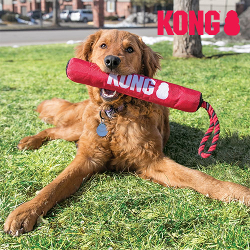 콩 KONG 시그니쳐 로프 터그 강아지 장난감